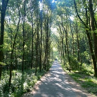 Photo taken at Forêt de Soignes / Zoniënwoud by Olivier V. on 6/11/2023