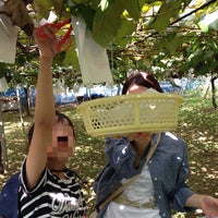 石井テル園 鎌ヶ谷市 0 Tips