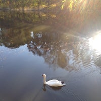 Photo taken at 北の丸公園 お堀 by Hiromi K. on 11/30/2013