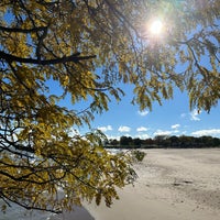 Photo taken at Foster Beach by Ryan S. on 10/22/2023