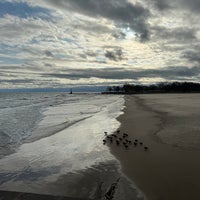 Photo taken at Foster Beach by Ryan S. on 11/17/2023