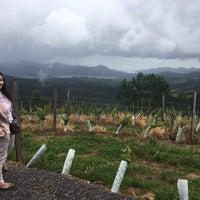 6/8/2017 tarihinde Maria K.ziyaretçi tarafından Bodega Berroja'de çekilen fotoğraf