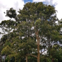 Foto tirada no(a) Australian National Botanic Gardens por Daniel W. em 2/6/2022