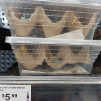 Petbarn Pet Store In Belconnen