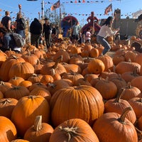 Photo taken at The Great Pumpkin Patch by Dani Y. on 10/26/2019