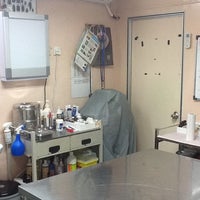 Shah Alam Veterinary Clinic Animal Shelter In Shah Alam