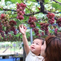 Foto scattata a 坂上ぶどう園 da 坂上ぶどう園 il 4/30/2016