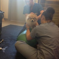 vca veterinary referral associates