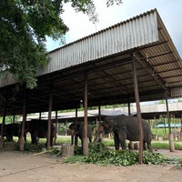 Photo taken at Pinnawala Zoo by Alana on 5/20/2023
