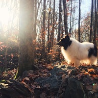 Photo taken at Chattahoochee National Recreation Area Johnsons Ferry by Jayna W. on 11/27/2015