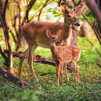 Photo taken at Olentangy Bike Trail by Jayna W. on 7/30/2021