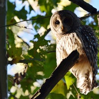 Photo taken at Adena Ravine by Jayna W. on 10/7/2016