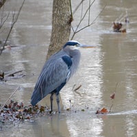 Photo taken at Olentangy Bike Trail by Jayna W. on 1/1/2016