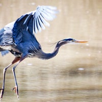 Photo taken at Olentangy Bike Trail by Jayna W. on 3/26/2016