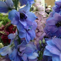 Photo taken at The Flower Stall at the Queen&amp;#39;s Elm by Alan J. on 5/10/2013
