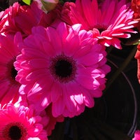 Photo taken at The Flower Stall at the Queen&amp;#39;s Elm by Alan J. on 4/30/2013