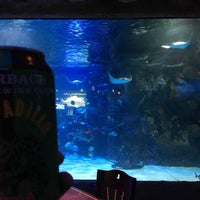 Photo taken at Aquarium Restaurant by Katz on 11/24/2018