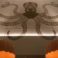 11/22/2018にPeter K.がLittle Octopusで撮った写真