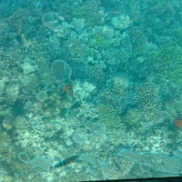 竹富島グラスボート 竹富 竹富島グラスボート 竹富
