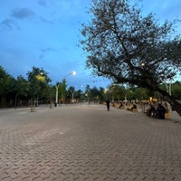 Photo taken at Alameda de Hércules by siva on 4/28/2023