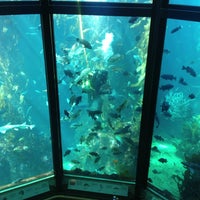 5/12/2013에 Tania Z.님이 Monterey Bay Aquarium에서 찍은 사진