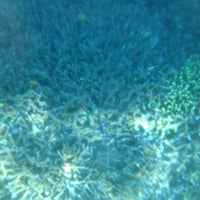 7/12/2014에 Yoon L.님이 Blue Marlin Dive Gili Meno에서 찍은 사진