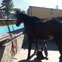 Photo taken at Equine Hydrotherapy and Clinic by Pamela B. on 2/3/2013