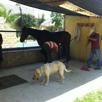 Photo taken at Equine Hydrotherapy and Clinic by Pamela B. on 4/8/2013