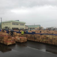 津軽りんご市場 Farm