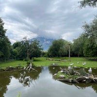 Photo taken at Zoo Salzburg by Ali ♥️ on 6/27/2023