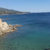 Spiaggia Di Felciaio Beach In Portoferraio