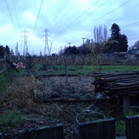 Photo taken at P-patch Community Garden by Tiff N. on 12/31/2012