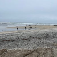 Photo taken at Del Mar Dog Beach by Matteo P. on 3/12/2023