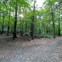 Photo taken at Milíčovský les by Radezim on 9/3/2022