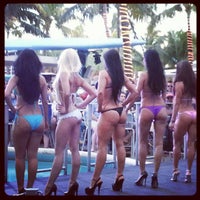 Clevelander bikini contests