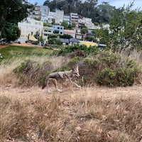 Photo taken at Corona Heights Park by Brendan C. on 8/18/2023