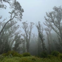 Photo taken at Mount Sutro Open Space Reserve by Brendan C. on 5/21/2023