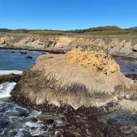Photo taken at Año Nuevo State Park by Brendan C. on 3/6/2021