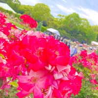 Photo taken at Suma Rikyu Park by かおるん on 5/27/2023