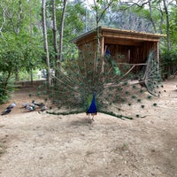 Photo taken at Tbilisi Zoo | თბილისის ზოოპარკი by Shnur on 6/19/2022