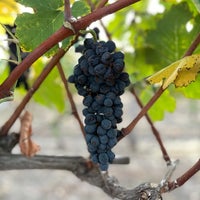 Photo taken at Flat Creek Estate Winery &amp;amp; Vineyard by Barron F. on 7/30/2022