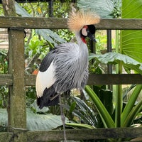 Photo taken at Bali Bird Park by Vitalii G. on 1/29/2024