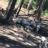 8/8/2016にCassidy S.がWagon Trails Animal Parkで撮った写真