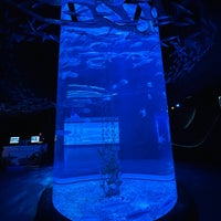 Photo taken at Jakarta Aquarium by TJ on 4/17/2023