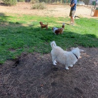 Photo taken at Bijou Dog Park by Beth R. on 7/28/2019
