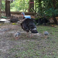 รูปภาพถ่ายที่ Cabañas Del Bayano โดย Manuel T. เมื่อ 1/9/2013