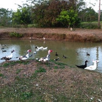 รูปภาพถ่ายที่ Cabañas Del Bayano โดย Manuel T. เมื่อ 1/9/2013