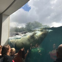 Photo taken at Copenhagen Zoo by Nil Hande Ö. on 7/13/2017