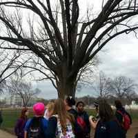 Photo taken at Shady Tree Outside of Air &amp;amp; Space Museum by Chad M. on 1/30/2013