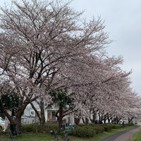 Photo taken at 向島用水親水路 by chan b. on 3/30/2019